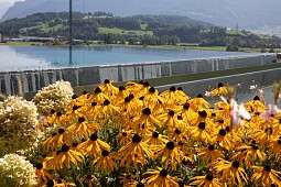 ZWAG2024 Weibel Kaltbrunn 21