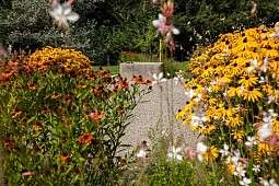 ZWAG2024 Weibel Kaltbrunn 48