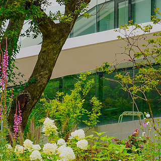 Gartenarbeiten Aufträge finden für Mitglieder von JardinSuisse
