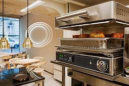 CAAA Electrolux Professional 04